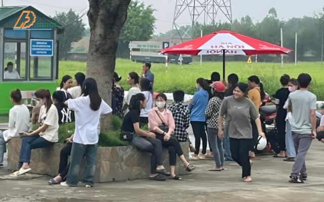 Nâng hạng gplx